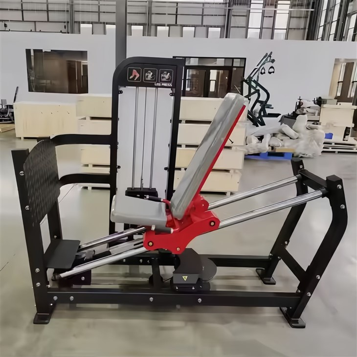 The Leg Press Trainer best